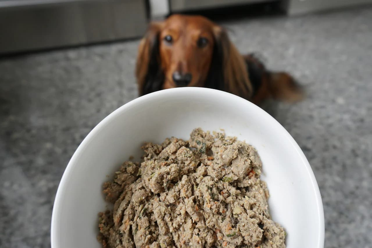 Farmer's dog pricing