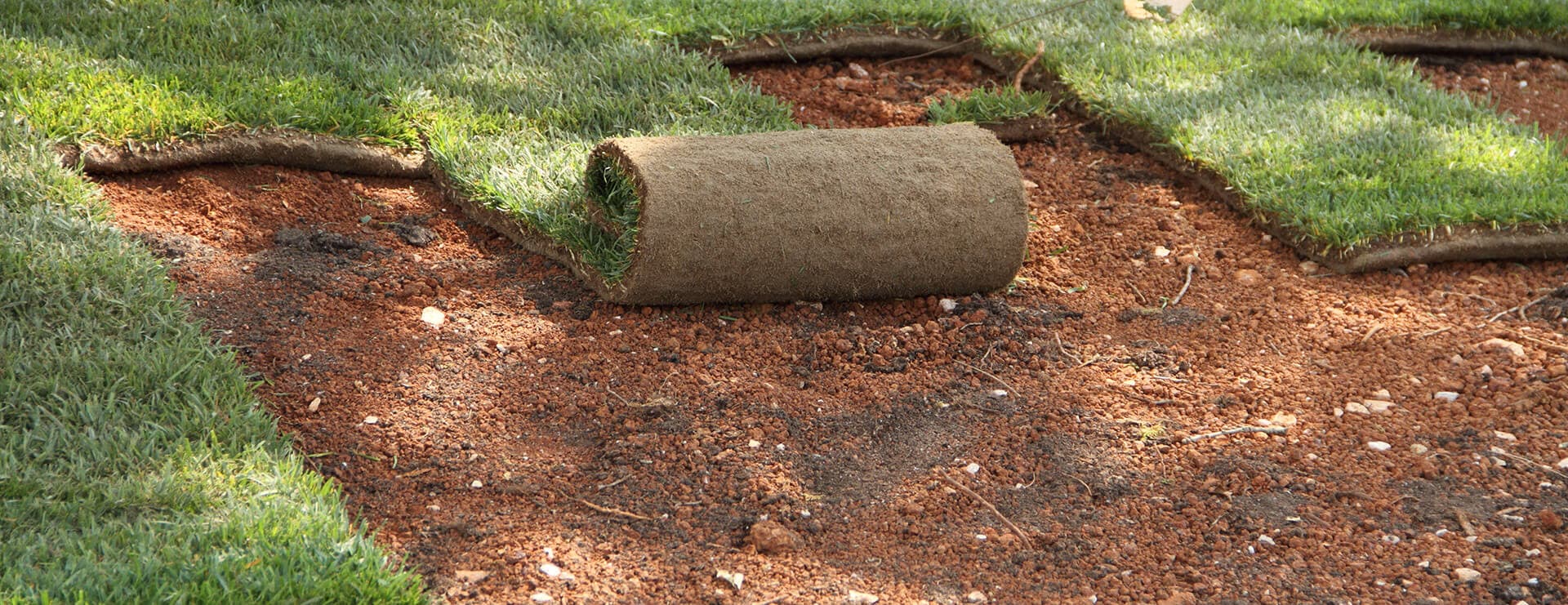 Ein umfassender Leitfaden zum Natursteine kaufen für Ihre Gartenprojekte