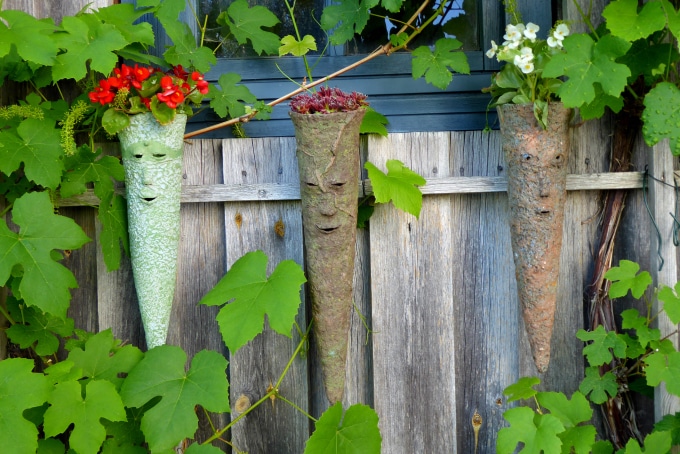 Garten-Blog Genuss: Von Pflanzenparadiesen und grünen Oasen