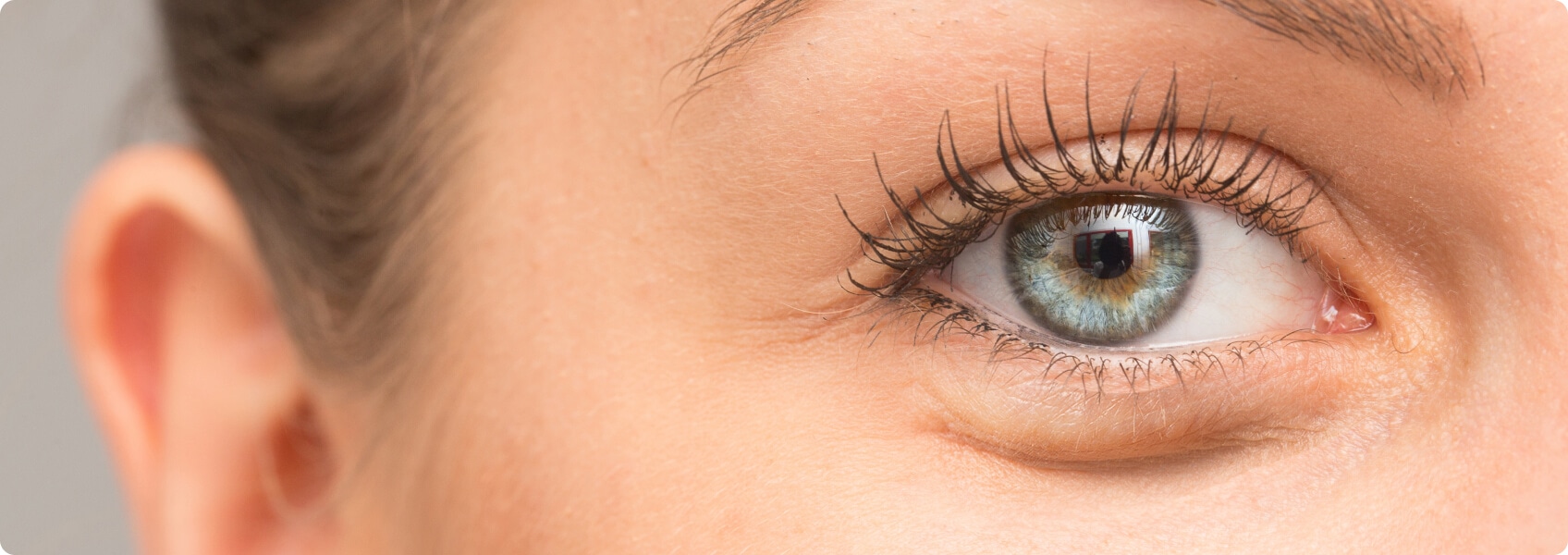 LashLink führt Wimpernpinzette und Augenbrauenpinzette für präzises Styling