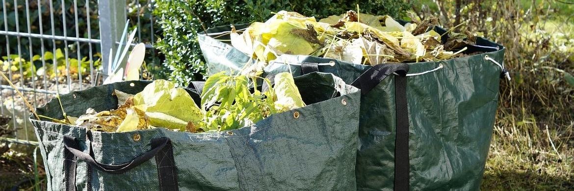 Gartenabfall Container Preise in Hamburg – Kostengünstige Entsorgungslösungen
