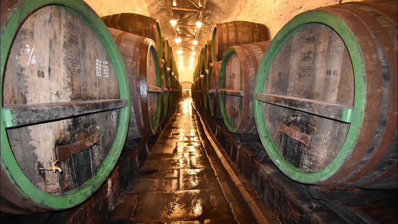 Einblick in echte Braukunst bei der Pilsner Urquell Brauereiführung